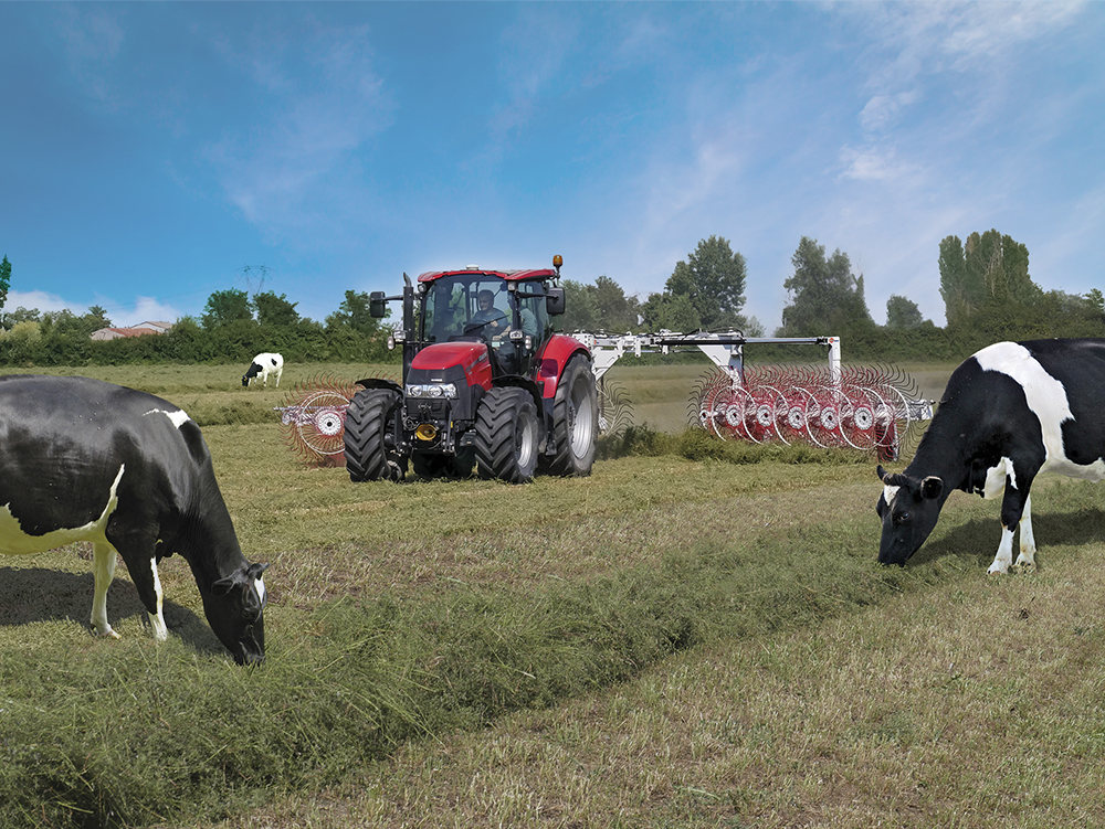 higer quality forage - healtier cows